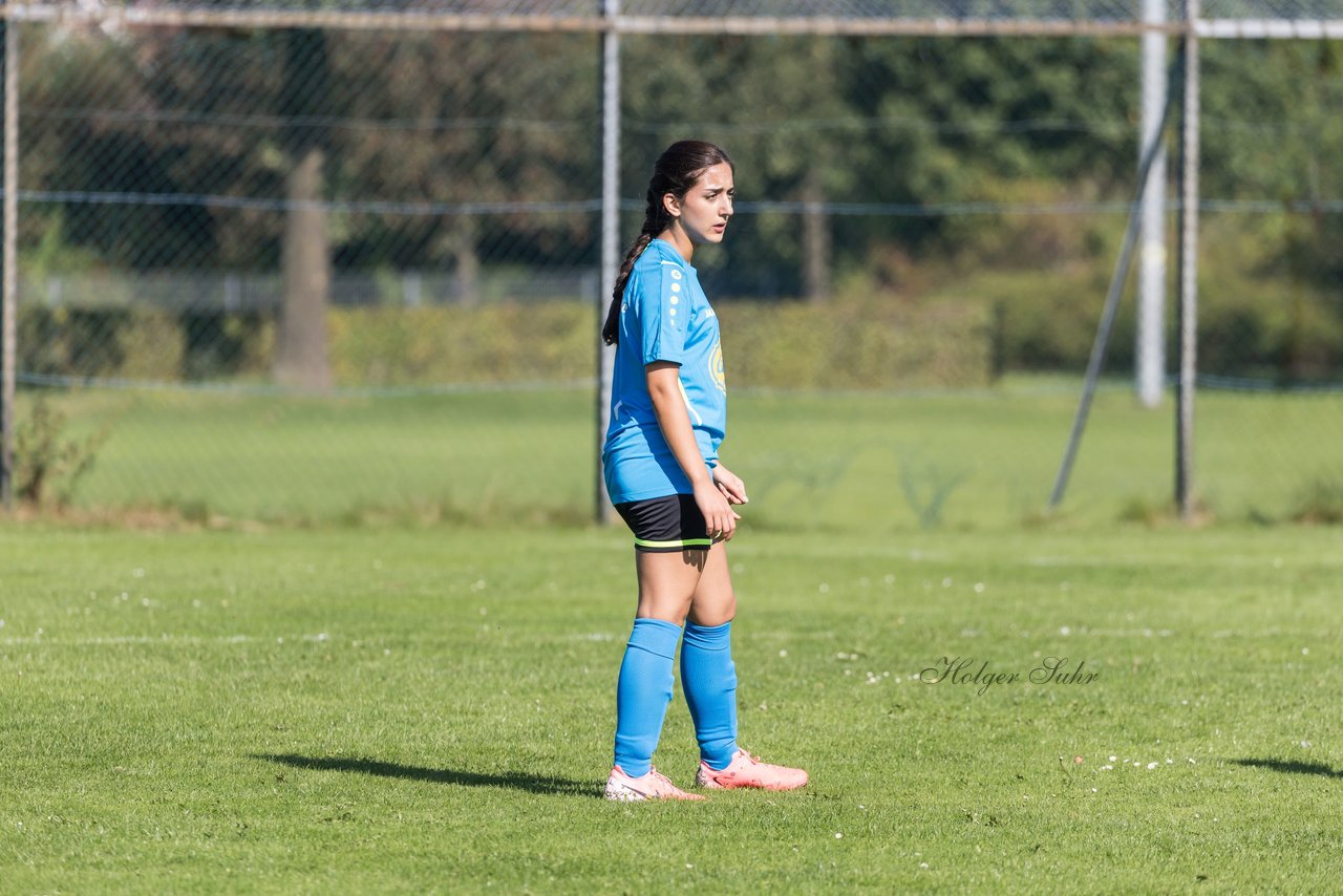 Bild 133 - wBJ SV Henstedt Ulzburg - FSG Oldendorf Itzehoe : Ergebnis: 2:5